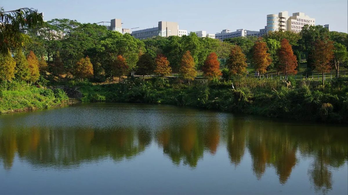 NYCU 校園風景 4