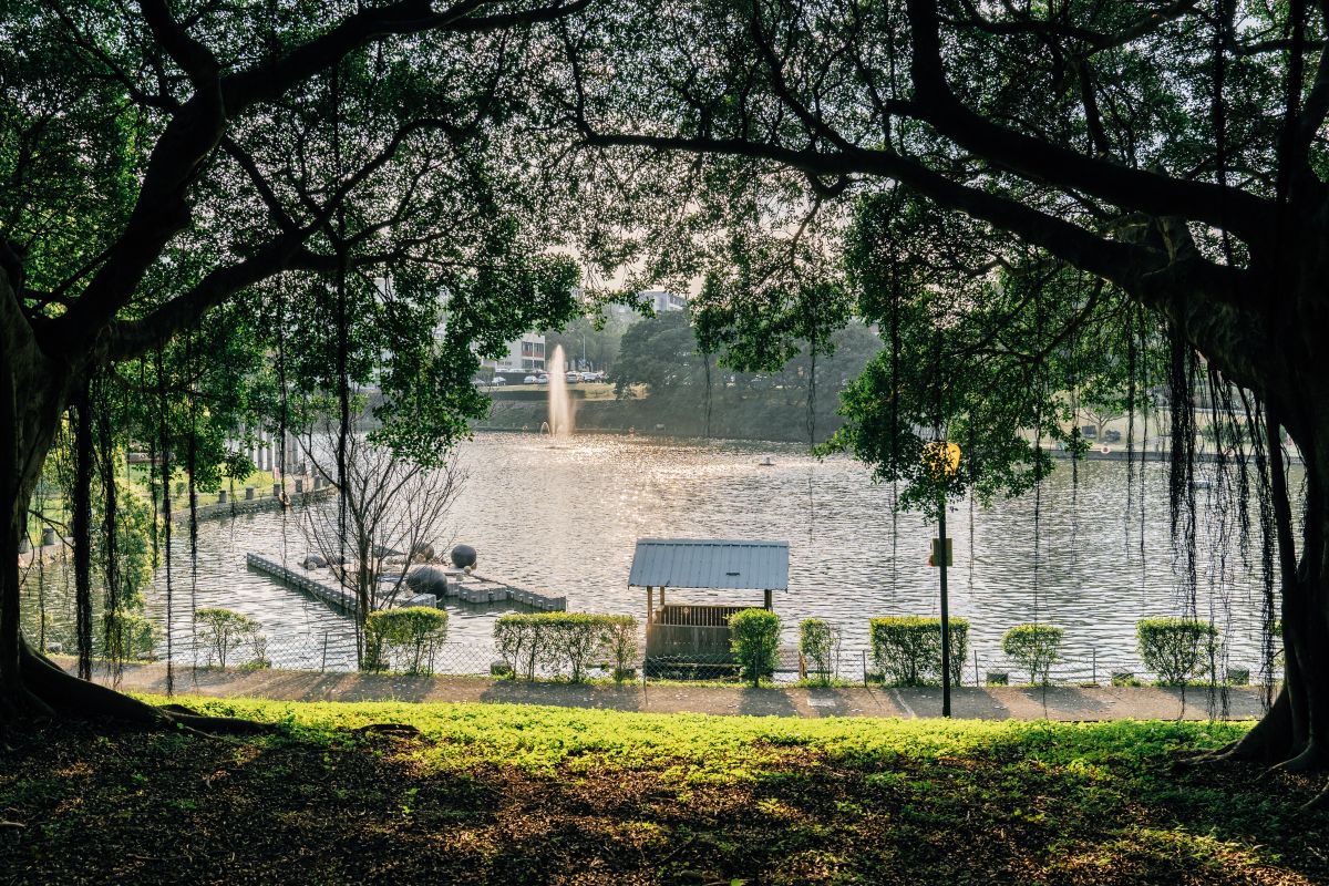 School Landscape